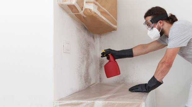 Professional Bathroom Mold Removal technician working in Florence, CO