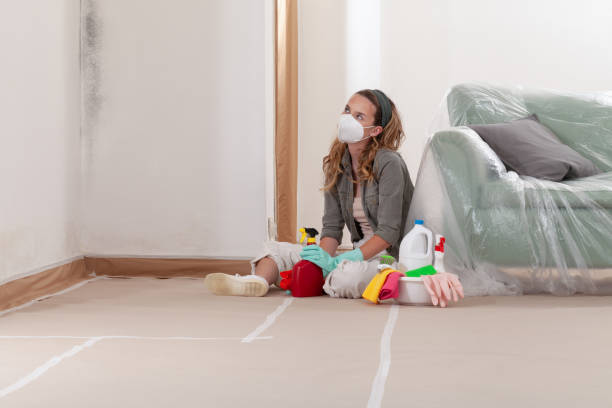 Reliable Bathroom Mold Removal contractor in Florence, CO by Mold Remediation HQ